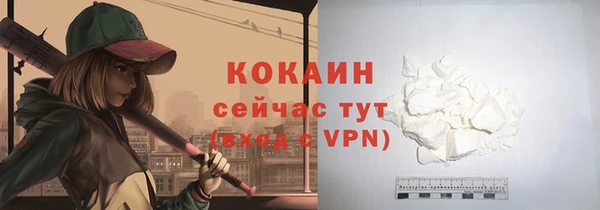 шишки Осташков