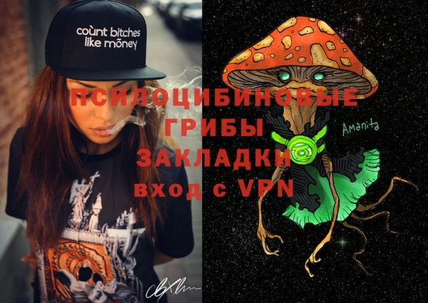 mdpv Переславль-Залесский