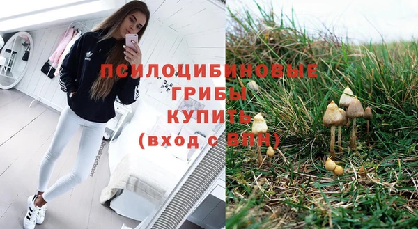 mdpv Пересвет