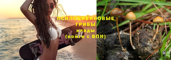 mdpv Пересвет