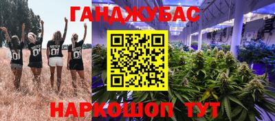 сатива Нальчик