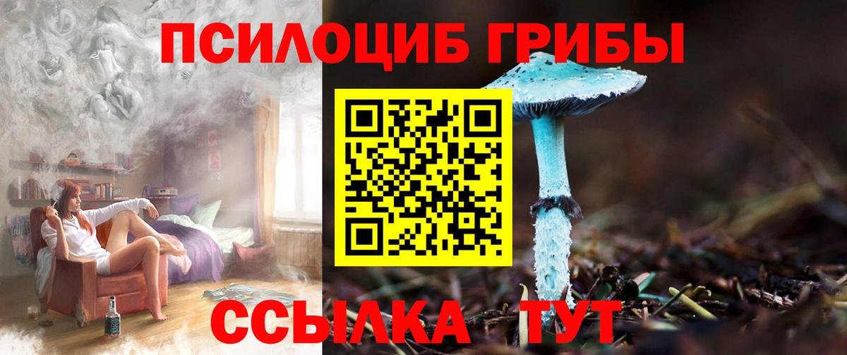 Ялта  Псилоцибиновые грибы GOLDEN TEACHER  Вход с VPN 
